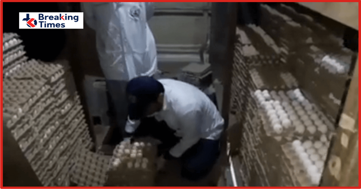 rotten eggs in cold storage