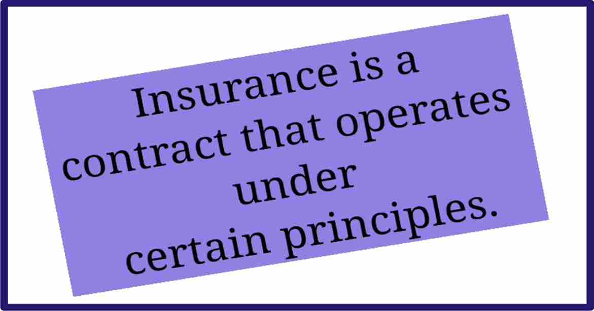 Types of Insurance