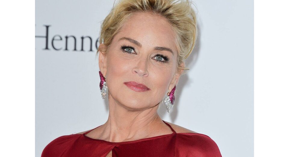 Sharon Stone's Net Worth