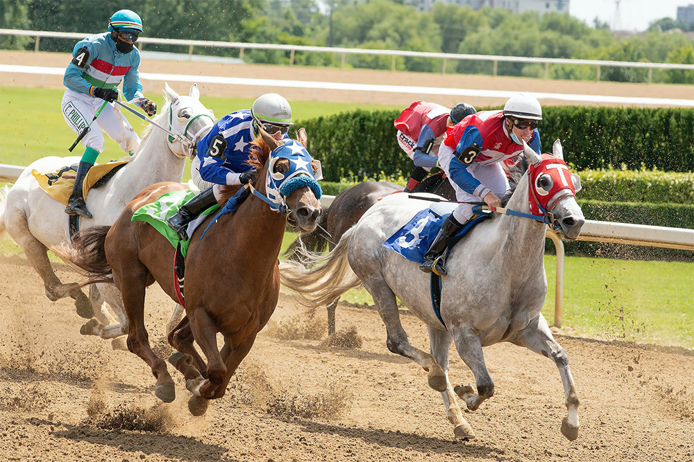 7 Reasons Why Horse Racing Is One of the Most Thrilling Sports