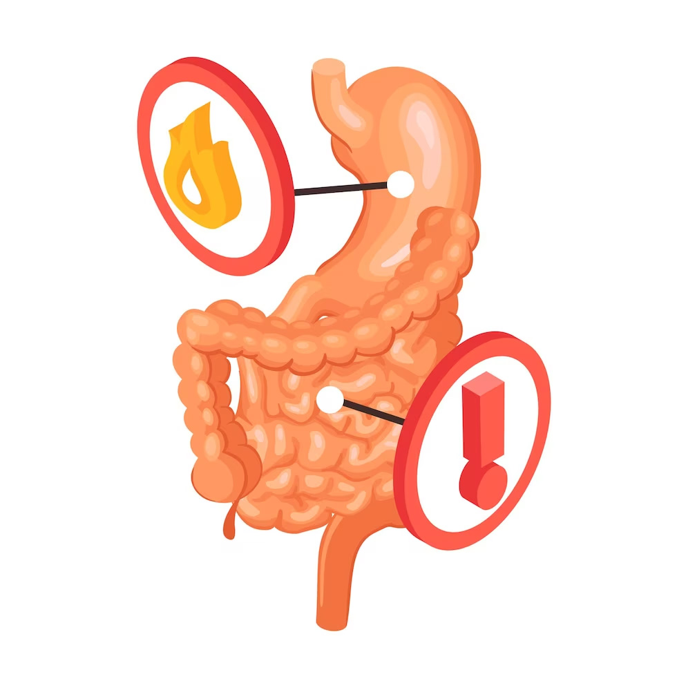 8 Bowel Health Tips You Must Adopt This Year