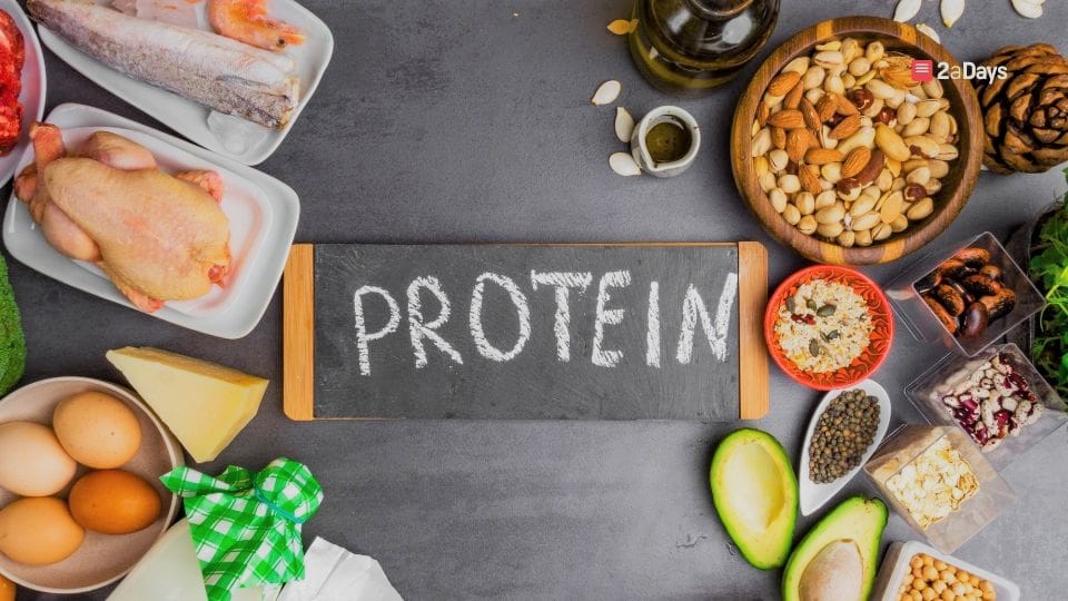 he Advantages of a High Protein Diet