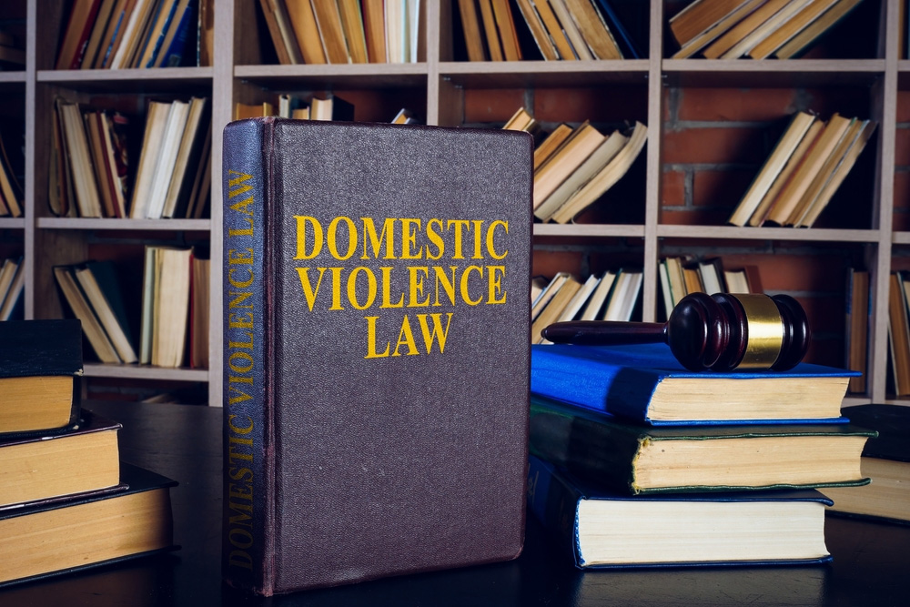 The Impact of Domestic Violence Laws and Their Efficacy