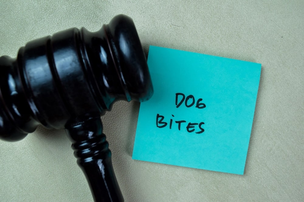 Understanding Texas Dog Bite Laws in 7 Key Points