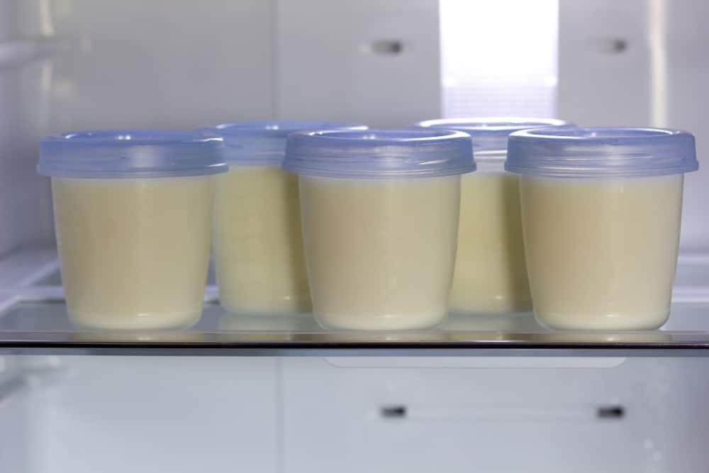 How Long Can Breast Milk Stay in a Cooler - Storage Guidelines for Pumping Moms